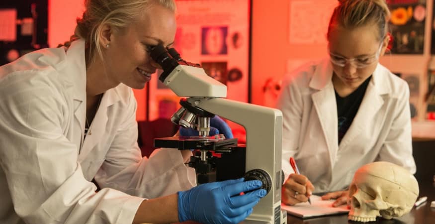 Two students look through microscope at specimen and analyze data in a laboratory