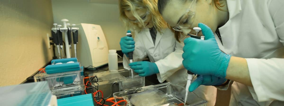 Students in a lab