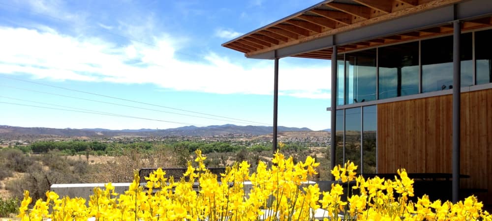 Flowers bloom outside the Counseling office on campus