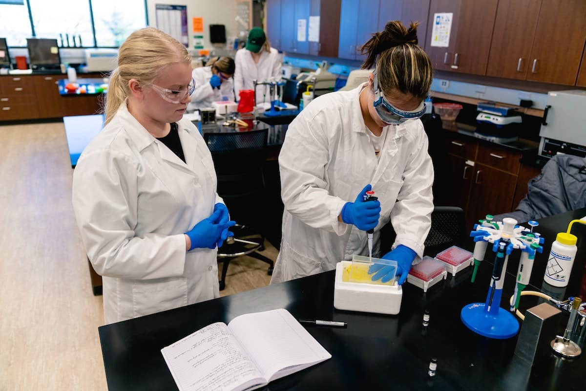 Students collaborate on a forensic experiment